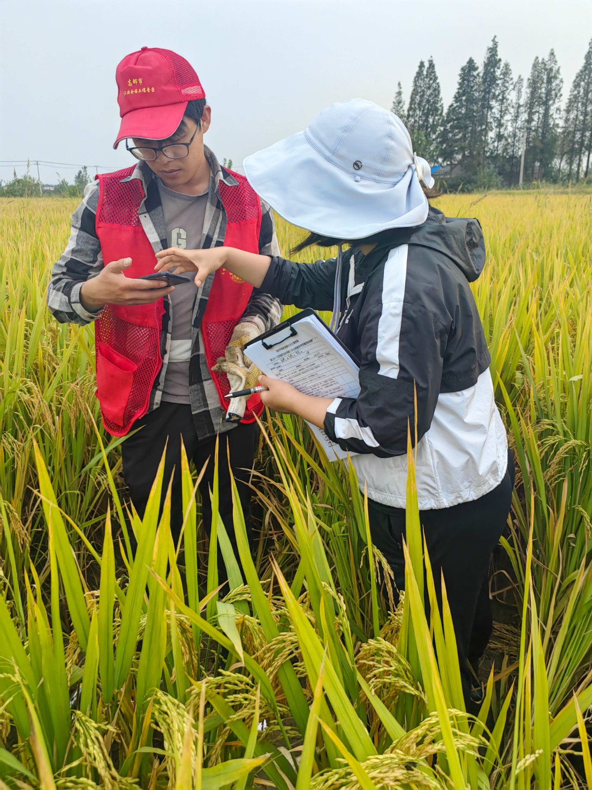 以青春之筆,繪就數字時代山河錦繡——江蘇煤炭地質物測隊測繪院“青年文明號”奮進紀實4.jpg 以青春之筆,繪就數字時代山河錦繡——江蘇煤炭地質物測隊測繪院“青年文明號”奮進紀實4.jpg